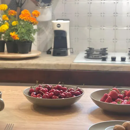 Casa In Pelleria 公寓 卢卡