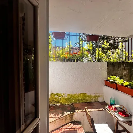 公寓 Casa In Pelleria