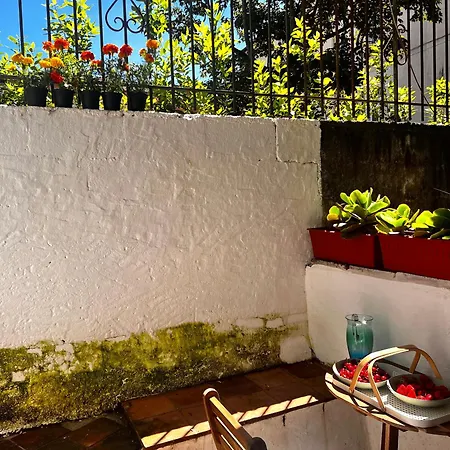 公寓 Casa In Pelleria *