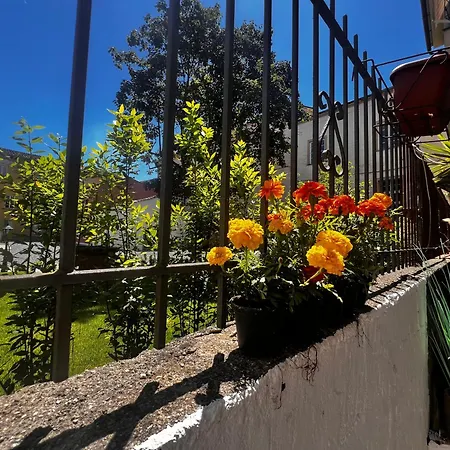 公寓 Casa In Pelleria